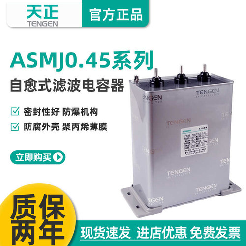 天正ASMJ0.45自愈式滤波电容器