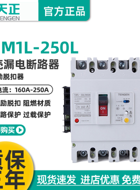天正TGM1L-250L/4310 3N310漏电开关断路器带消防分励脱扣器200A
