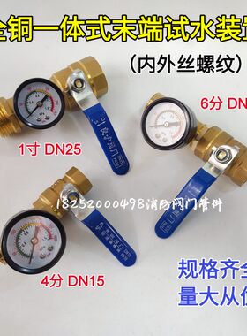 全铜末端试水装置试压测水测气喷淋系统消火栓水管道球阀带压力表