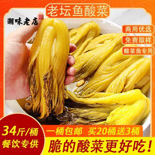 直供酸菜鱼专用正宗潮汕澄海酸菜 咸菜整箱桶装商用餐饮广东