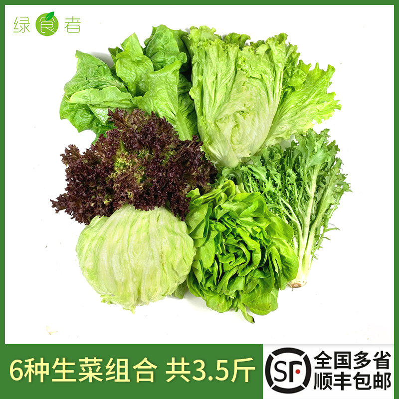 沙拉蔬菜组合3.5斤 球生菜苦菊新鲜混合装生吃沙拉西餐轻食蔬菜