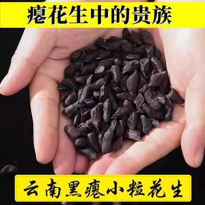 直供店广西正宗老友伊面一整箱拉面面饼南宁老友粉伊面