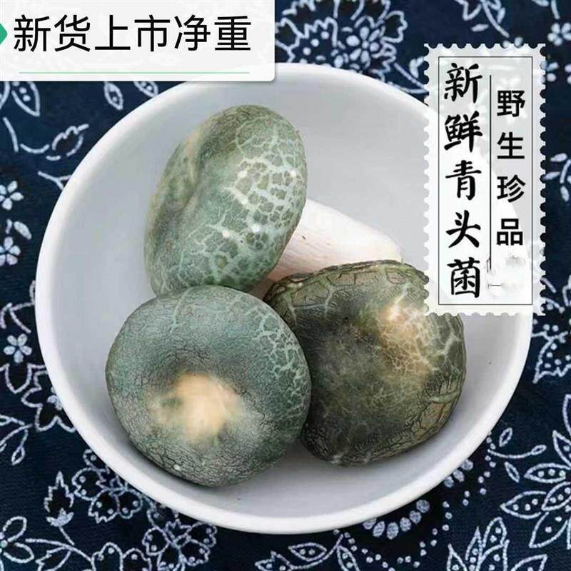 直供农科院湖北野生青头菌干货梨菇云南特产蘑菇绿豆菌野生菌干货