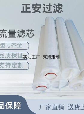 定制保安过滤器大流量滤芯DFM40PP005A01 40英寸接口形式SXPL厂家