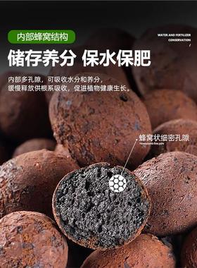 陶粒垫底养花专用多肉营养土花盆花卉回填鱼缸水培铺面火山石颗粒