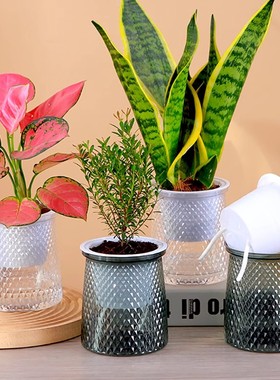 北欧塑料水培透明盆懒人自动吸水早安盆绿萝北欧简约吊兰绿植花盆