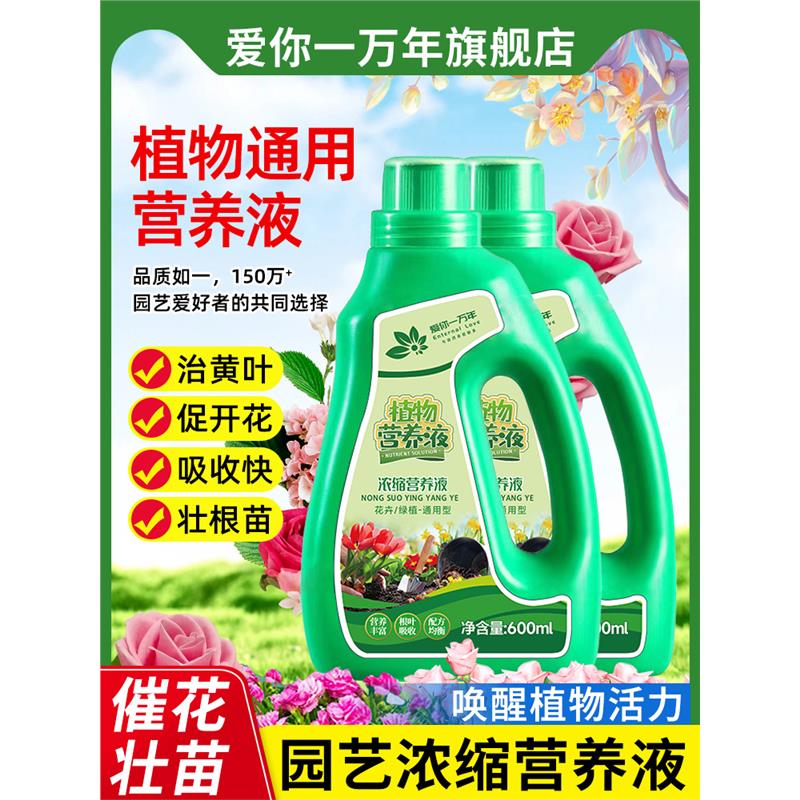 营养液植物通用型花肥发财