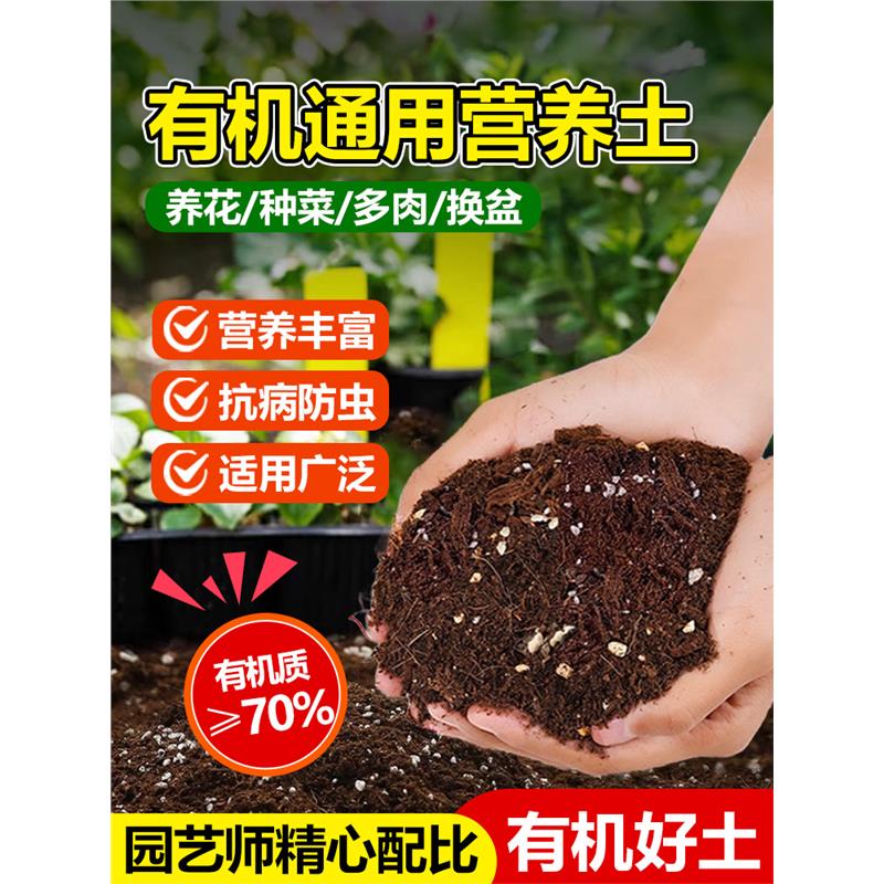 营养土花专用通型种菜盆栽