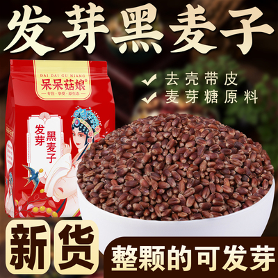呆呆菇娘发芽黑小麦1/2/3/5斤