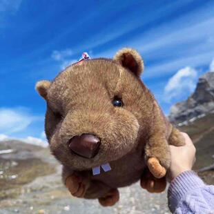 甘肃甘南文创扎尕那土拨鼠玩偶公仔毛绒玩具挂件大号娃娃抱枕礼物