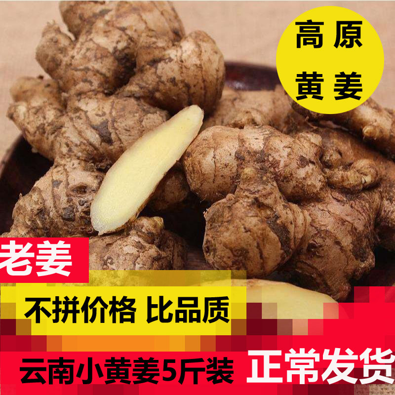 云南红河山区 农家新鲜姜 生姜生姜/南姜