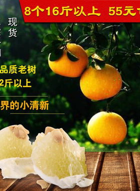 重庆特产正宗梁平柚子梁山柚50年老树农家柚子龙滩柚当季水果包邮