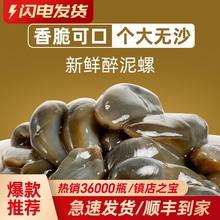 特大无沙黄泥螺醉泥螺王即食罐装香辣新鲜活舟山海鲜宁波特产醉螺