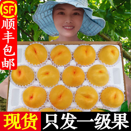 黄油桃新鲜水果现货黄心黄肉黄金桃子山东蒙阴当季整箱大黄桃