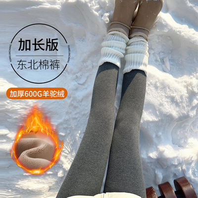 加长鲨鱼打底裤女外穿加