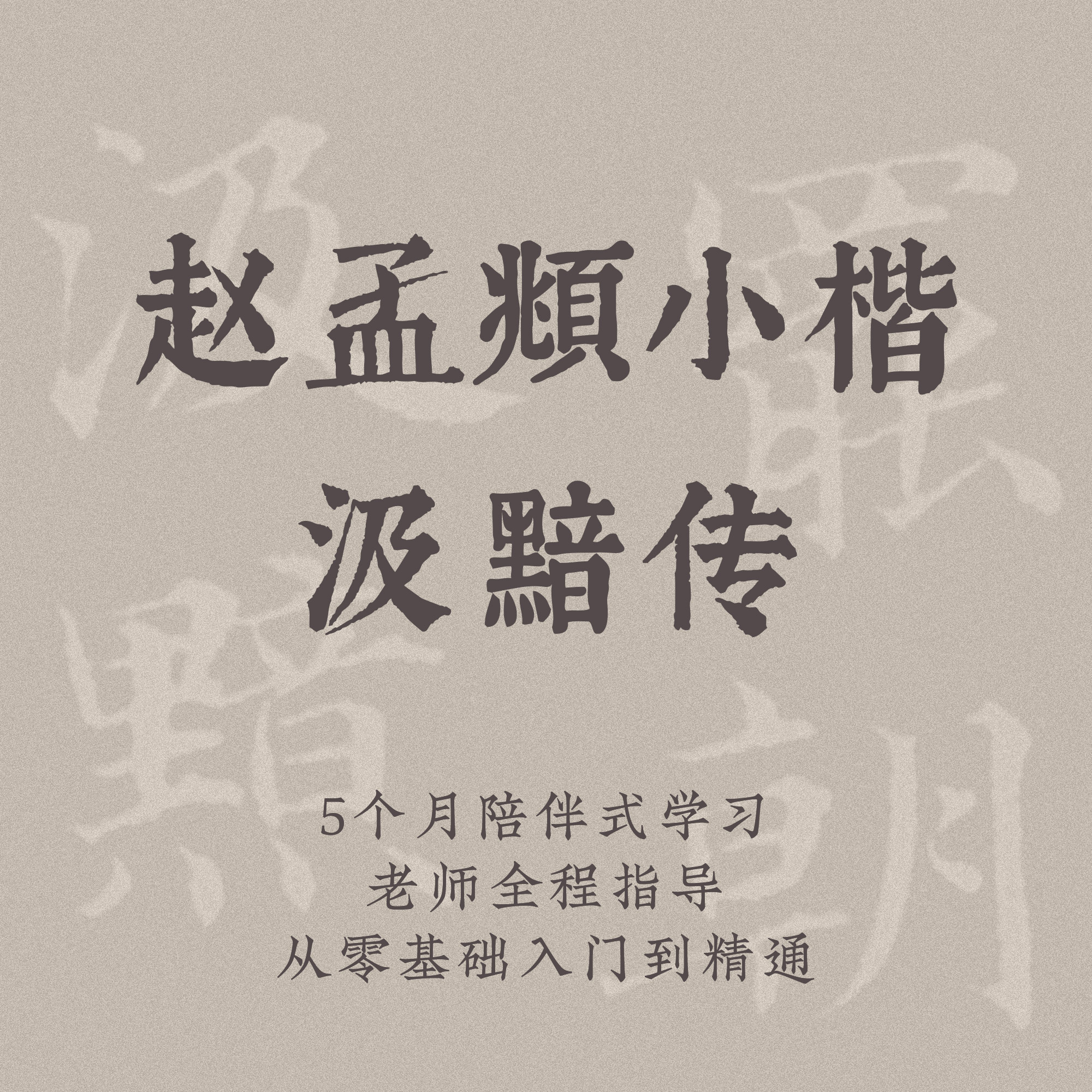 毛笔小楷练字课赵孟頫汲黯传成人大学生零基础网络书法视频课程