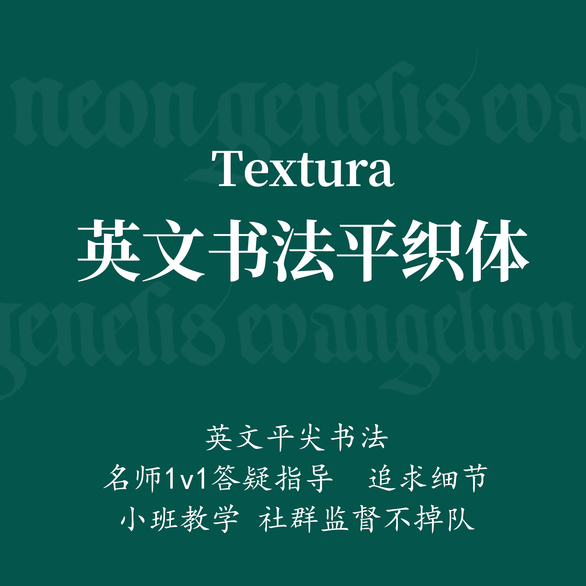 一起练字课程英文书法平尖平织体成人零基础线上教程二狗子