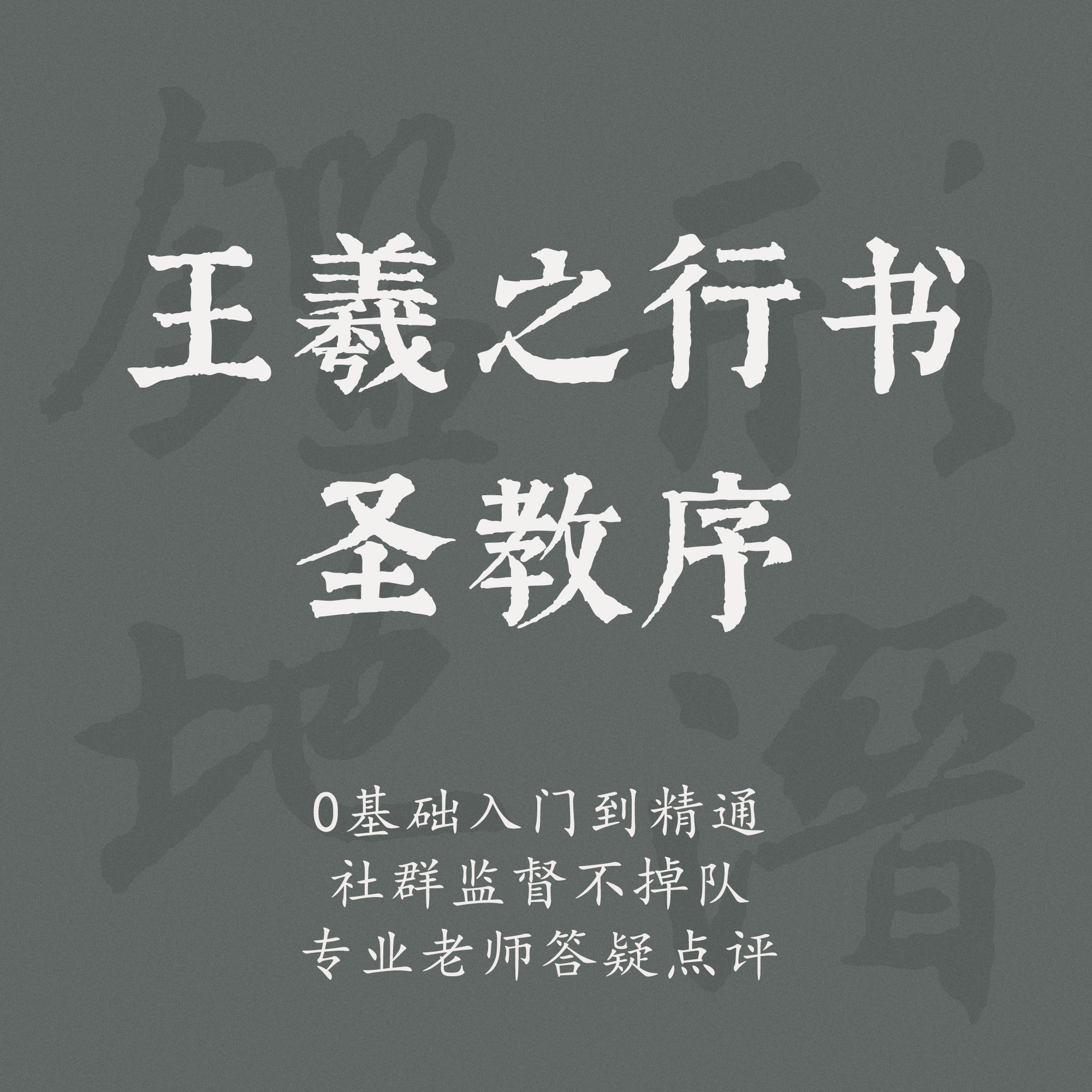 一起练字硬笔行书圣教序成人初学线上书法课程|延卿