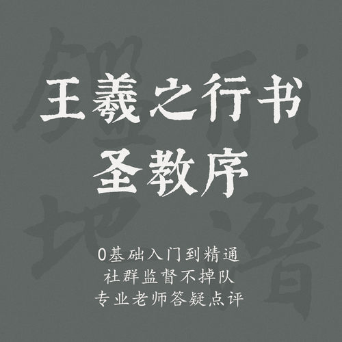 一起练字硬笔行书圣教序成人初学线上书法课程|延卿