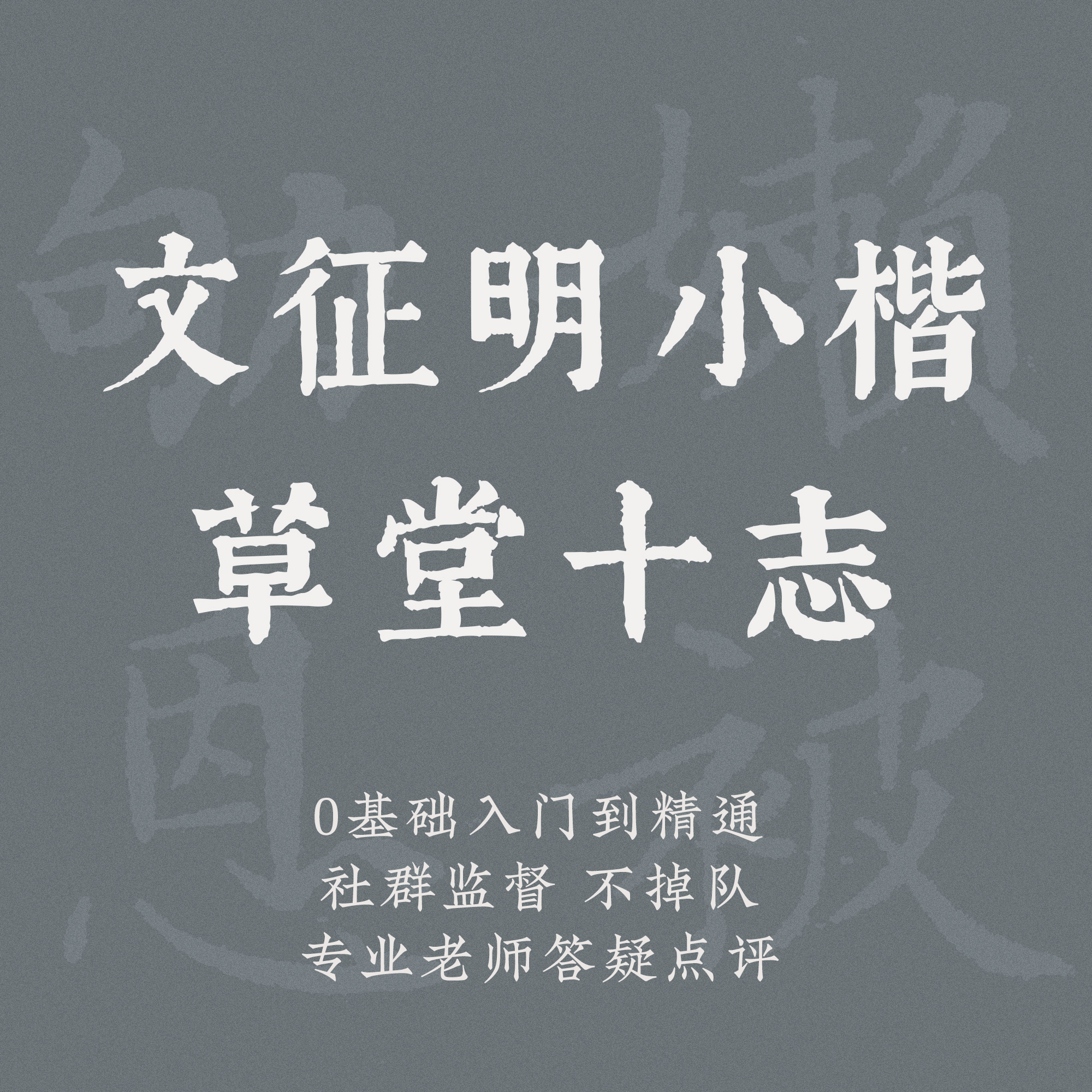 一起练字硬笔书法课小楷草堂十志成人零基础初学线上练字课|延卿