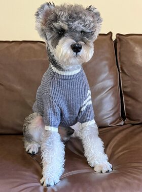 狗狗衣服秋冬新款宠物潮牌毛衣