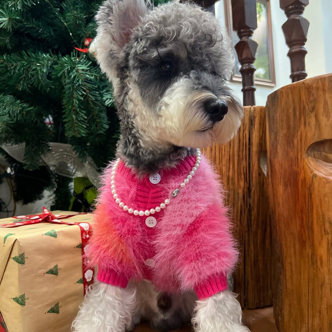 狗狗衣服秋冬款仿皮草貂绒衣服开衫比熊泰迪雪纳瑞保暖毛衣小型犬