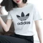 Adidas tay ngắn nữ 19 mùa hè mới đích thực cỏ ba lá nửa tay áo xu hướng giản dị / CV9889 - Áo phông thể thao áo phông lining nam chính hãng