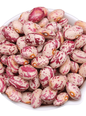 花芸豆 雀蛋豆 Chitra rajma 1kg Pinto beans