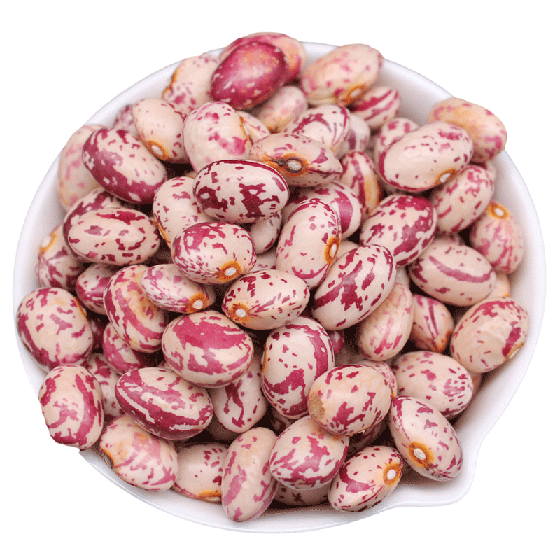 花芸豆 雀蛋豆 Chitra rajma 1kg Pinto beans - 封面