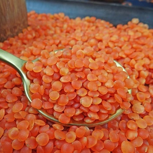红扁豆 RED LENTILS MASOOR DAL马粟豆 红扁豆 Red dal 1kg
