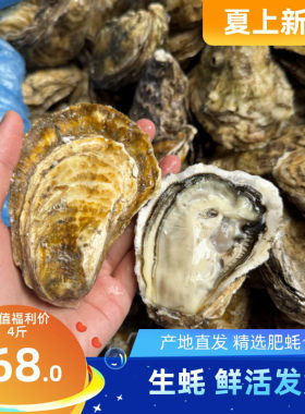 黄金生蚝个大肥美鲜活