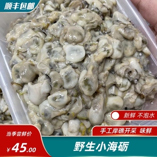 纯天然野生小海蛎 岸礁开采无泡水小海货 1斤/份 全店混搭4斤包邮