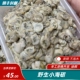 岸礁开采无泡水小海货 包邮 1斤 全店混搭4斤 份 纯天然野生小海蛎