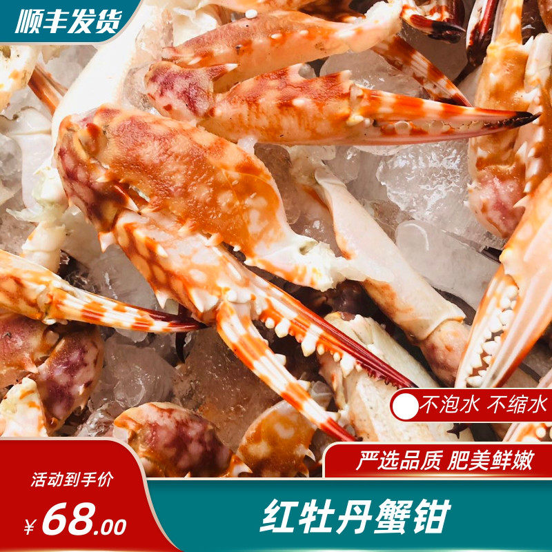 福建东海 蟹脚 红牡丹蟹钳 一只螃蟹只取两只蟹脚 400g装