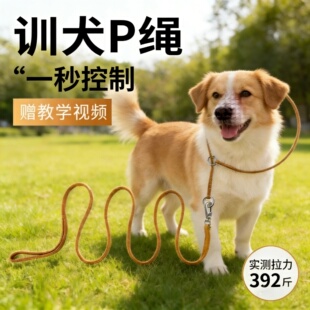 比赛项圈牵引绳遛狗专业狗p绳中大型犬防爆冲狗链专业训犬p链