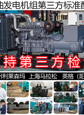 智能控制400KW柴油发电机组 500KVA 445KW上柴正新DF12V135BZLD
