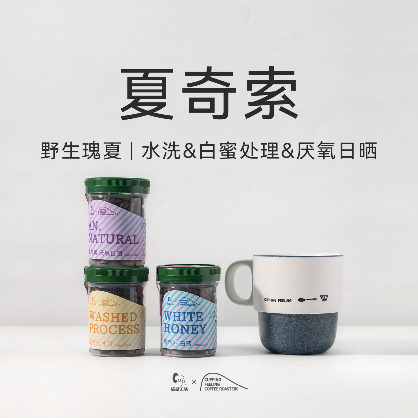 隔壁工坊 & cupfeel. coffee roasters 夏奇索联名手冲咖啡豆