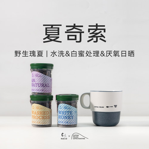 隔壁工坊 & cupfeel. coffee roasters 夏奇索联名手冲咖啡豆