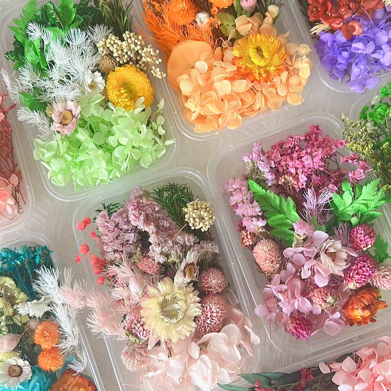 永生花材料包干花相框团扇画贺卡干花手工天然真花盒滴胶diy沙龙