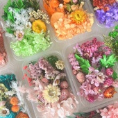 永生花材料包干花相框团扇画贺卡干花手工天然真花盒滴胶diy沙龙