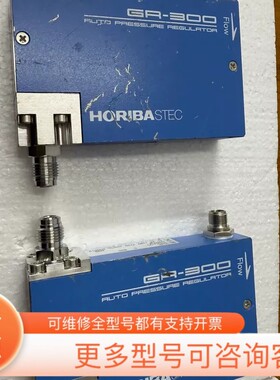 议价HORIBA计GR-314F、支持He气体、50SC