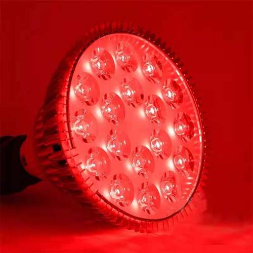 小红书同款大排灯美白灯美容仪