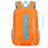 女士登山包旅行包女新款 大容量自行车骑行专用背包学生出旅行李包