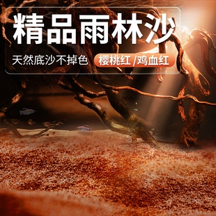 yee鱼缸底砂造景沙溪流沙热带雨林沙铺底装饰沙石南美缸热铁胆石