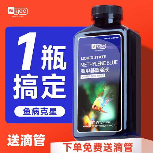 yee亚甲基蓝白点病锦鲤水霉病