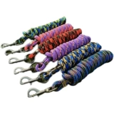 Лошадь поставляет ведущих лошадей лошадей, чтобы держать головы и потянуть поводья веревочных лошадей