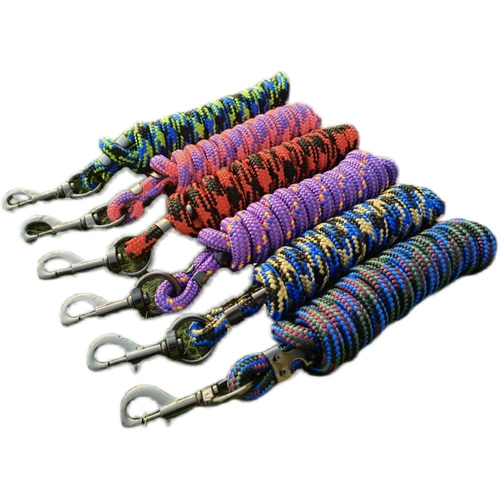 Лошадь поставляет ведущих лошадей лошадей, чтобы держать головы и потянуть поводья веревочных лошадей