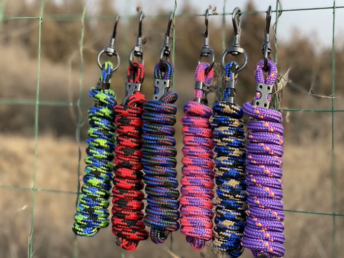 Лошадь поставляет ведущих лошадей лошадей, чтобы держать головы и потянуть поводья веревочных лошадей