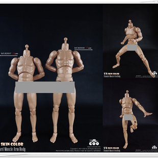 COOMODEL 1/6比例标准肌肉臂男素体 标准版BD007增高版BD008 现货