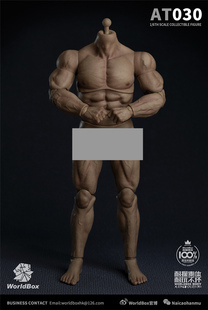 现货 Worldbox 1/6比例 兵人 耐操男素体 粗壮版 AT030